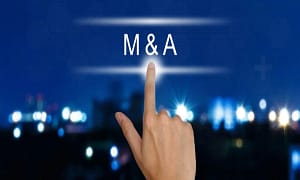 M&A Landscape in 2024 ~ Trends and Challenges 