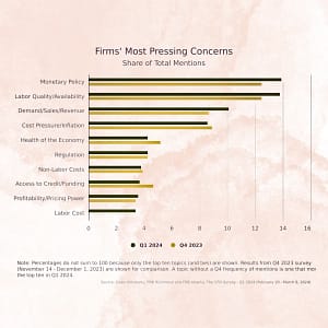 Firm's Most Pressing Concerns